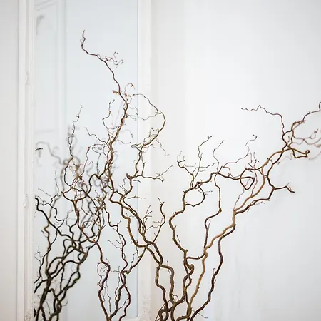 Apartment Lunamare *